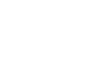 LOGO TRASSO RENTALS typo